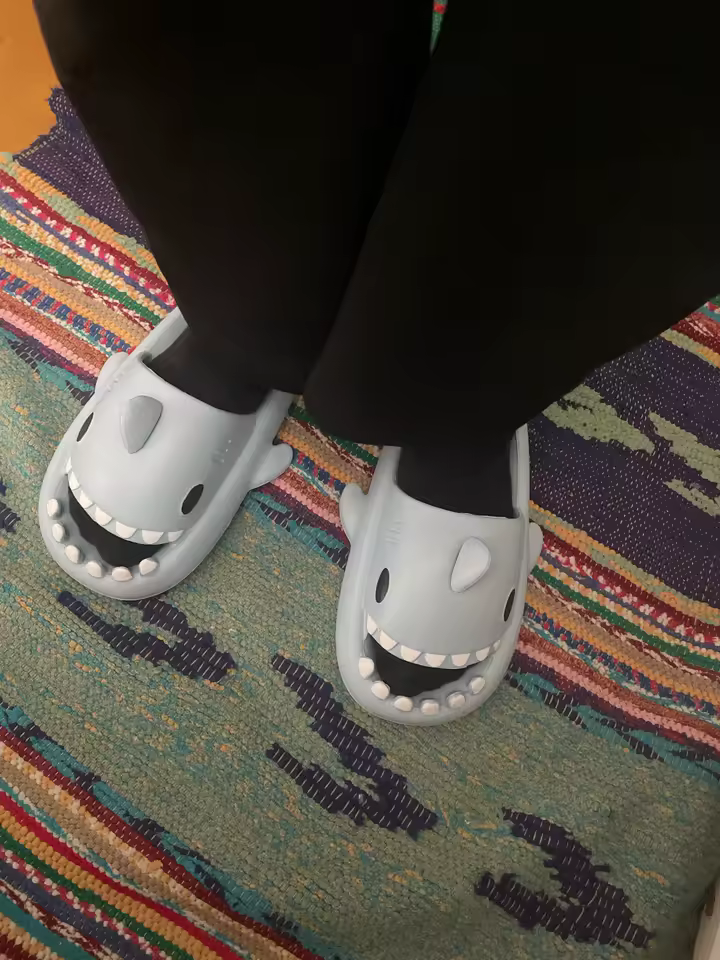 Avis Claquette Requin