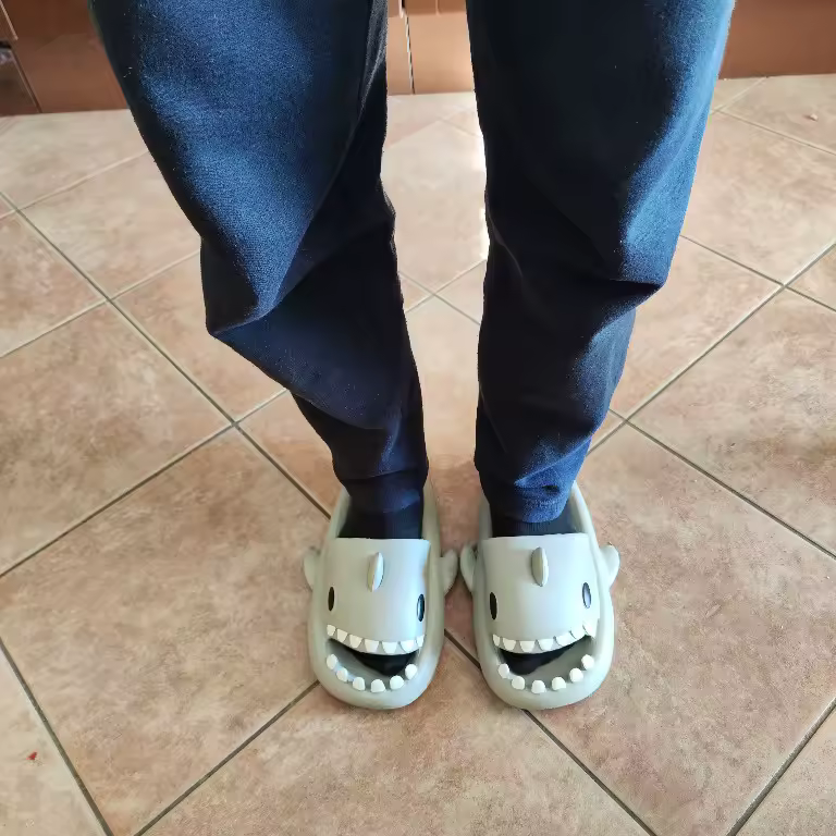 Avis Shark Slides