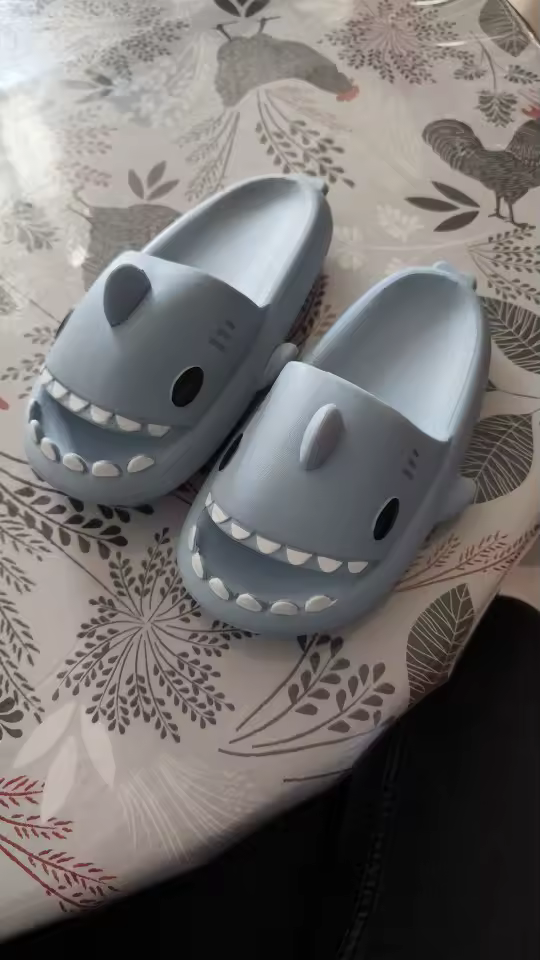 Avis Sandale Requin