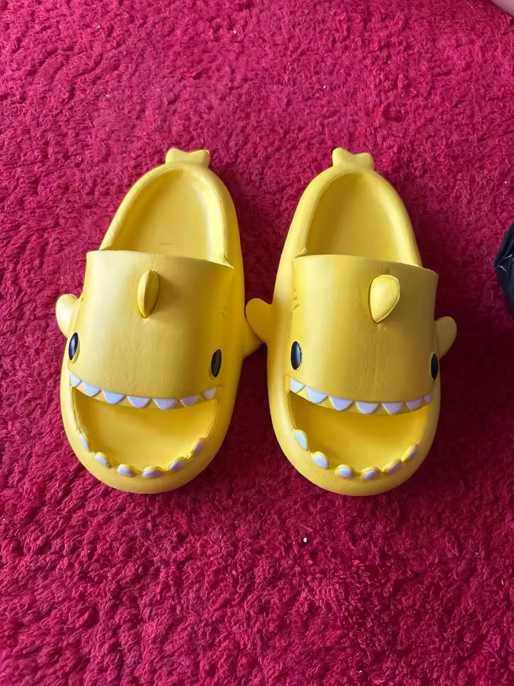 Avis Claquette Requin