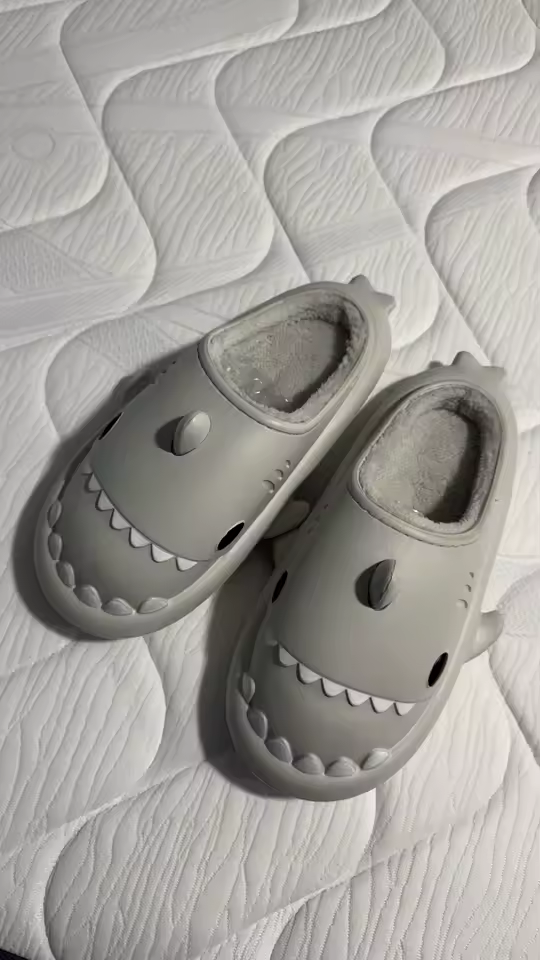 Avis Sandale Requin